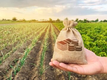 How to invest in agricultural land in Europe